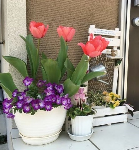 2b3b77dd-be57-4d6d-8678-b882216a9d10.jpg