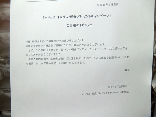 CIMG6444.JPG