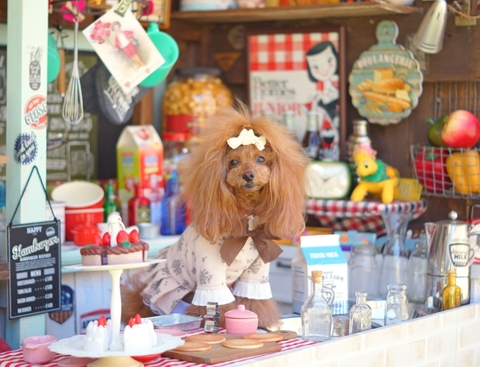DSC00926-2.JPG