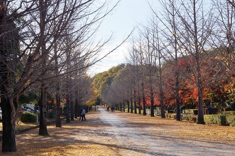 DSC05950-2.JPG