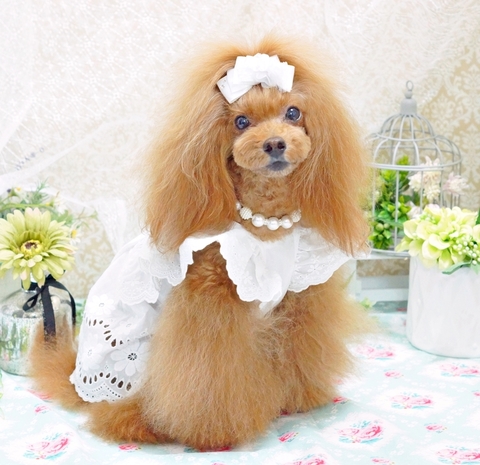 DSC08500-2.JPG