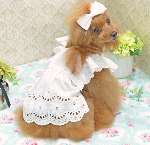 DSC08605-2.JPG
