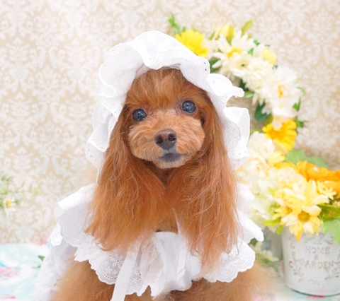 DSC08996-2.JPG