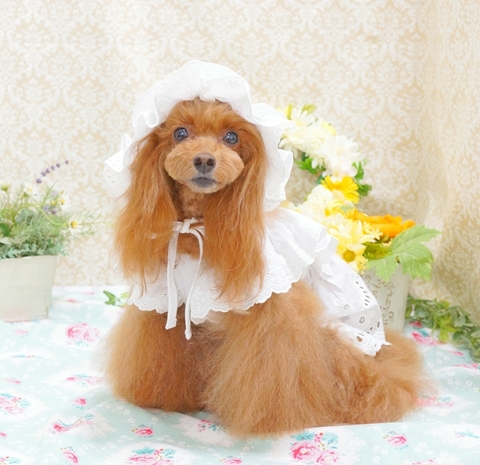 DSC09021-2.JPG