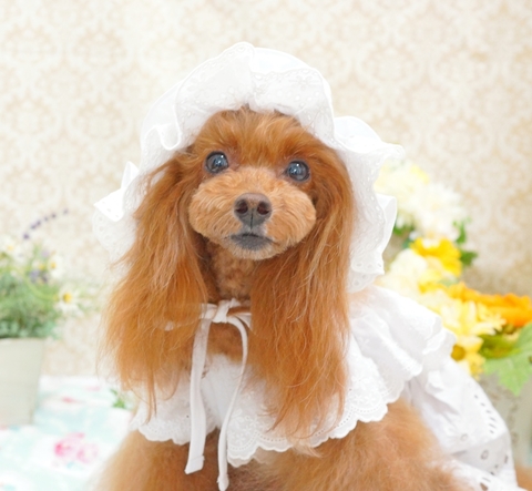 DSC09022-2.JPG