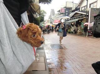 軽井沢銀座.jpg