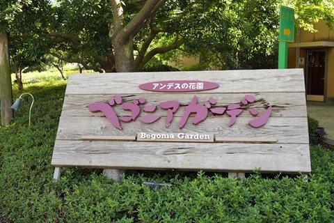 P1190815-2.JPG