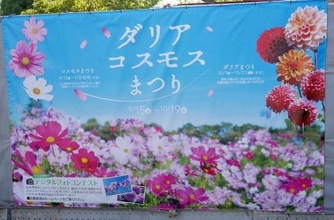 P1190841-2.JPG