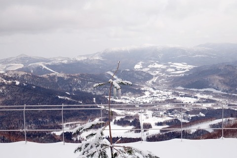 P1250807-2.JPG