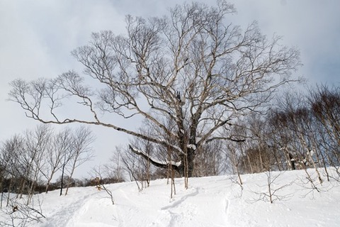 P1250809-2.JPG
