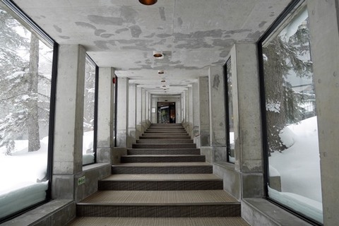 P1250855-2.JPG