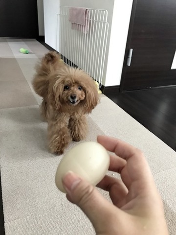 image2 (5)-2.jpeg