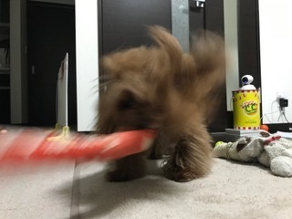 image3 (1).jpeg