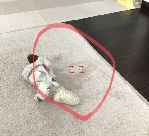 image4 (1).jpeg